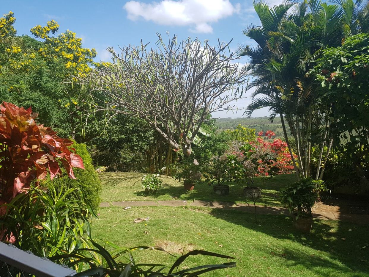 Apartamentos Carretera Sur