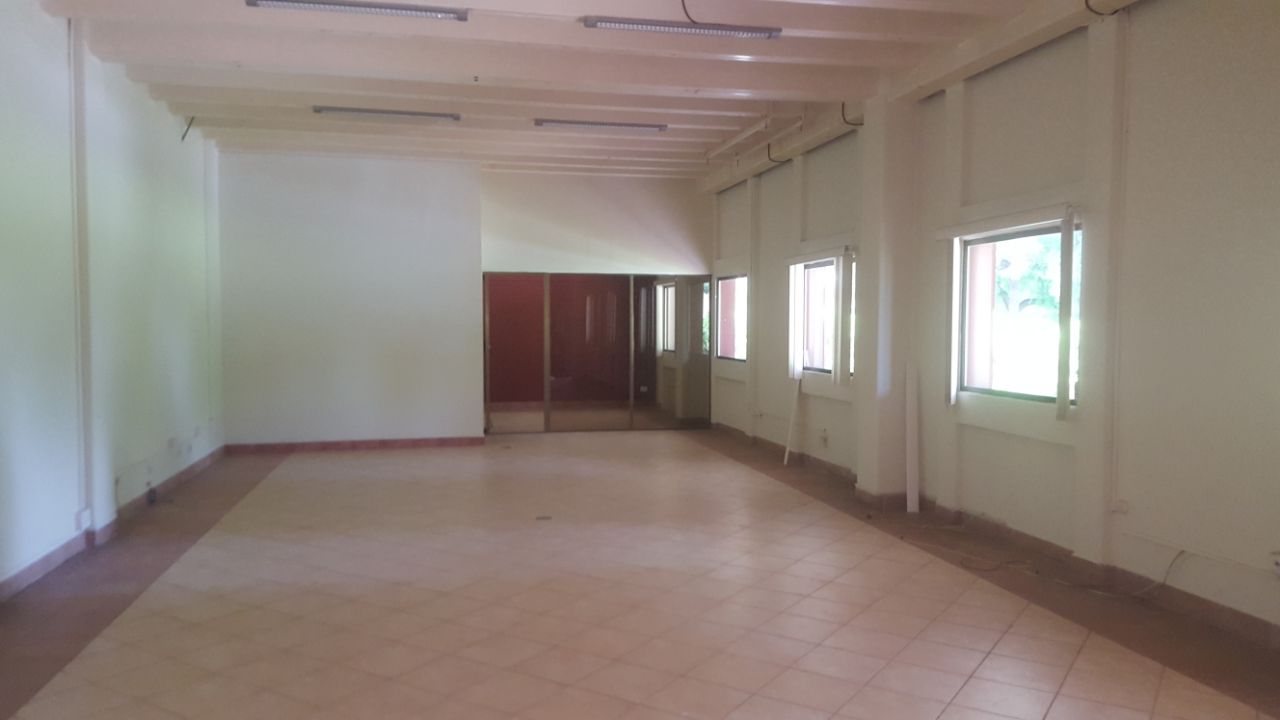 Ofibodegas / Las Colinas