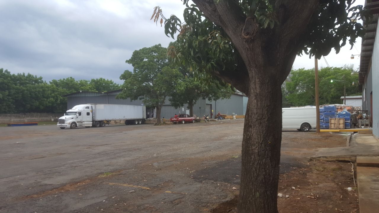 Bodega amplia y segura