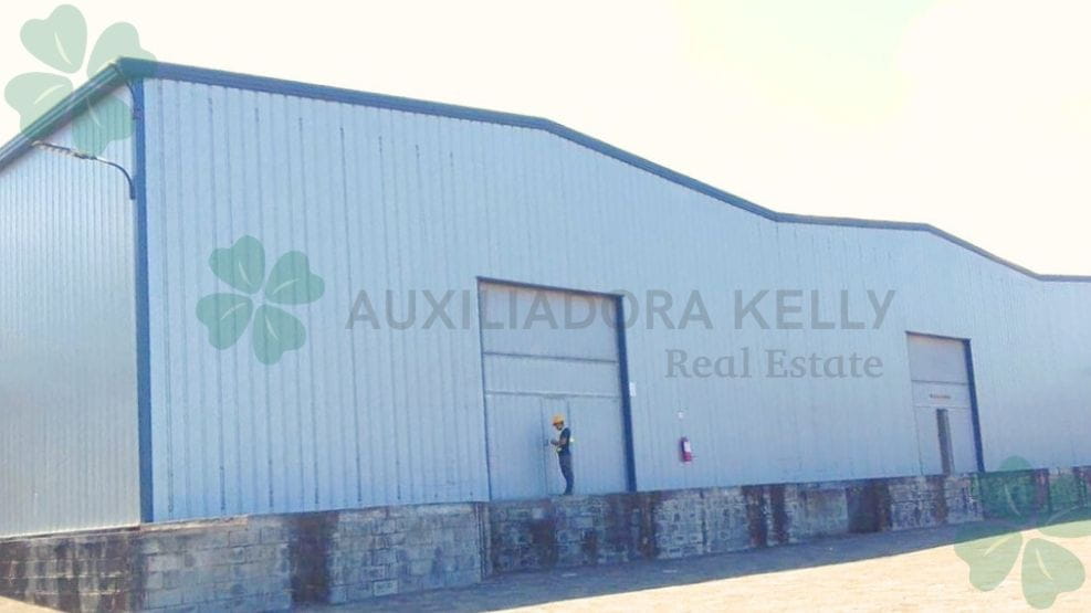 Disponibles 3 amplias bodegas para renta