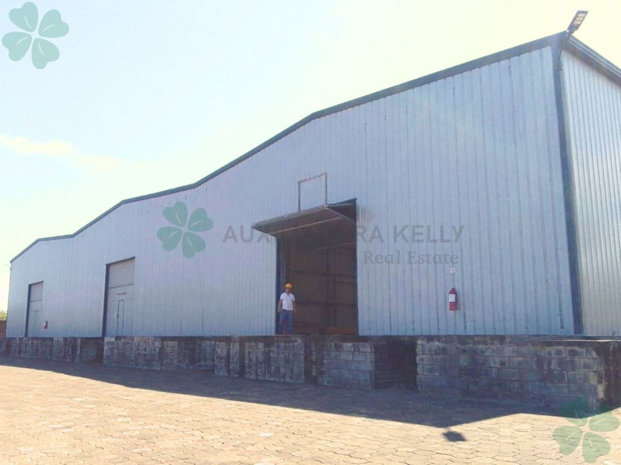 Disponibles 3 amplias bodegas para renta