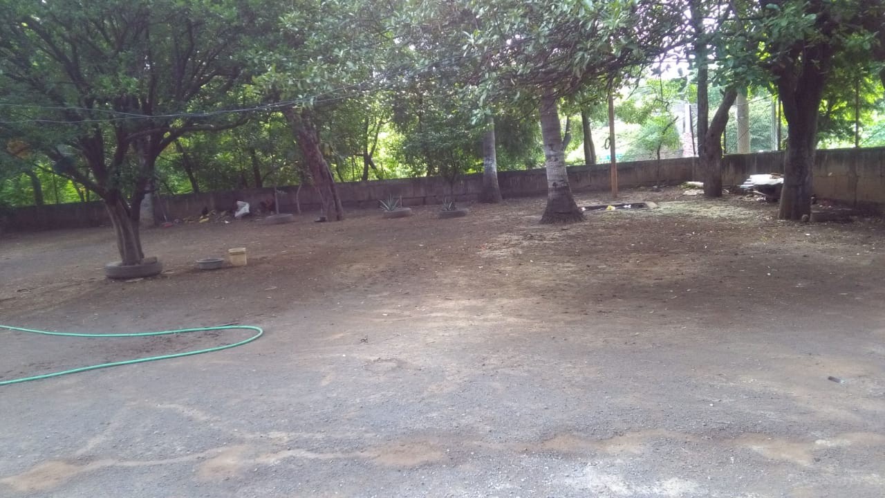 Carretera Vieja a León 