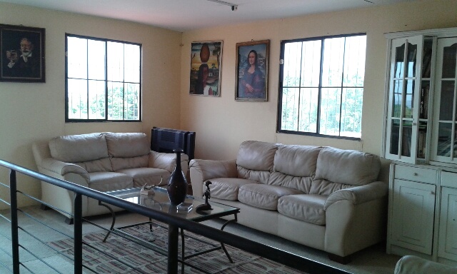 Totalmente Modificadas