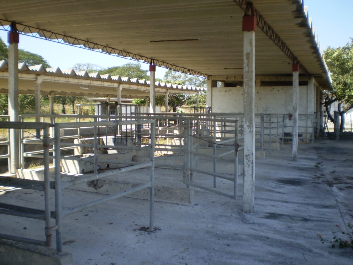 Ideal para inversión