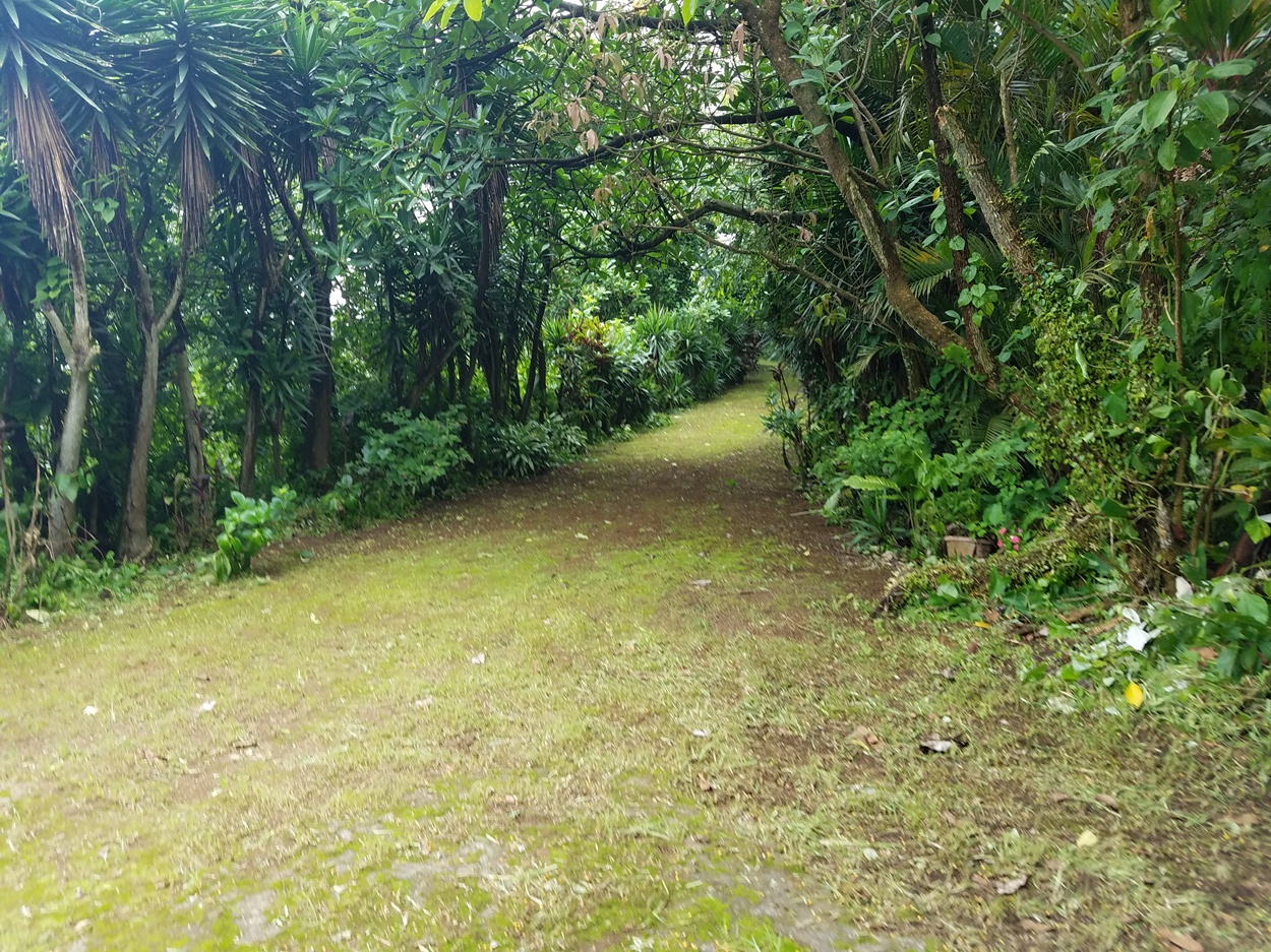 Flora y Fauna Nicaraguense