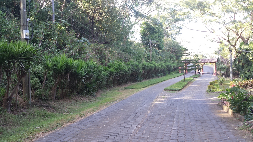 Intermezo del Bosque