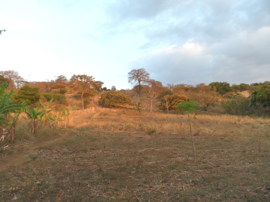 Terreno para inversión