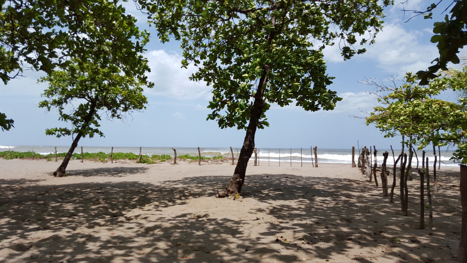 Terreno frente al mar