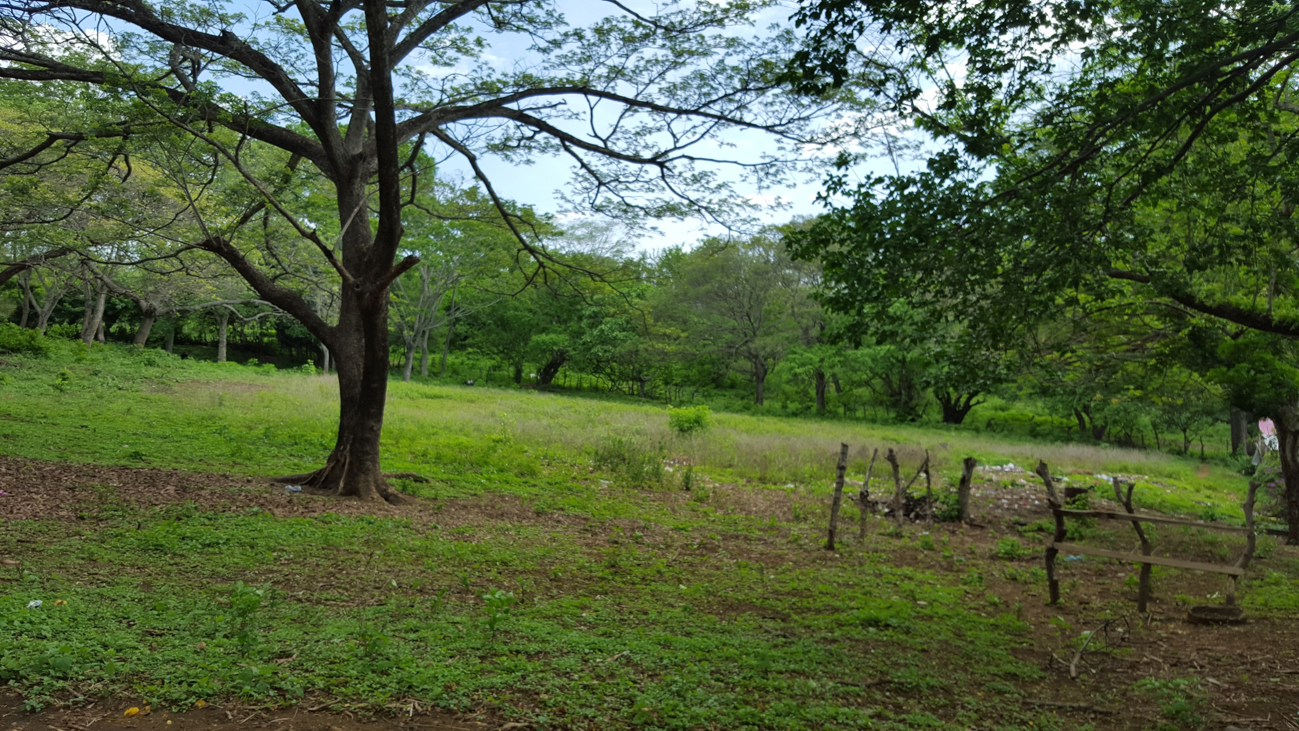 Terreno en zona céntrica
