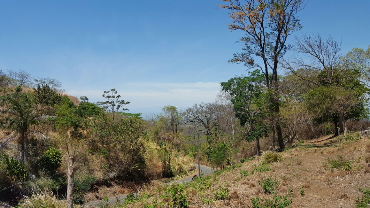 Terreno Con Vista