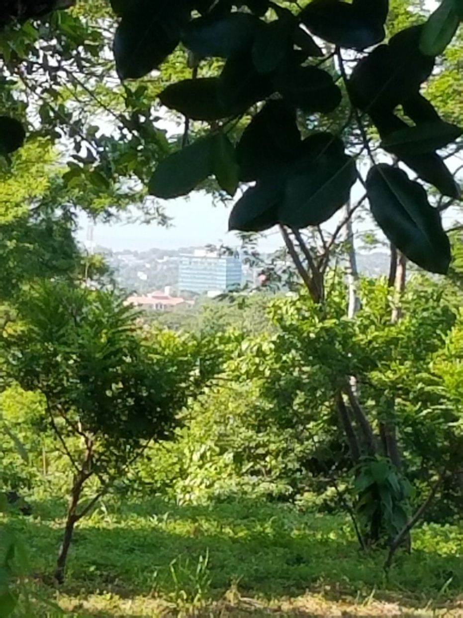 Excelente Ubicación 