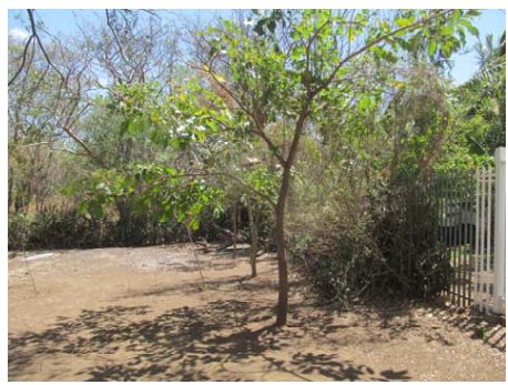 Carretera Vieja a Leon