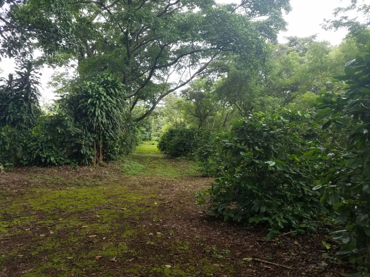 Propiedad Venta / Crucero