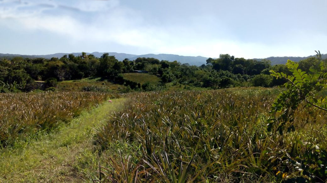 Ticuantepe - La Concha