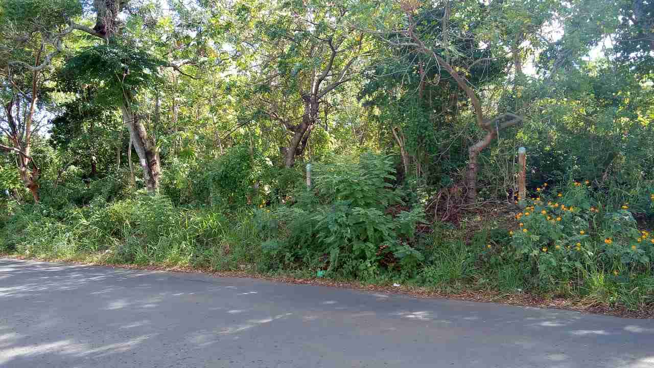 Terreno Villa Fontana Sur